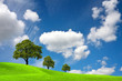 Clear Nature Clear Nature