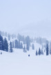 Western Sayan mountains. Ergaky. Siberia. Russia in winter time.