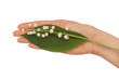 lily of the valley