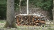 Bois énergie