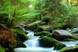 Waterfall in the national park Sumava-Czech Republic