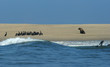 vie a Sandwich Harbor