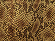 snake skin pattern
