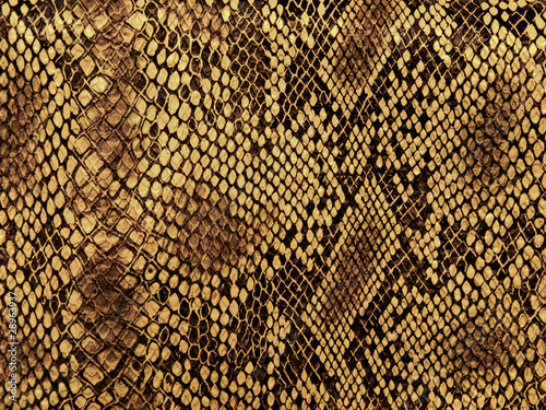 Photo: snake skin pattern snake skin pattern