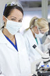 Female Scientific Research Team & Microscopes in a Laboratory