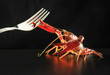 Photo en ligne au meilleur prix Crayfish and fork in the fight