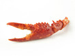 Photo en ligne au meilleur prix Crawfish claw on a white background