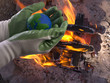 Green Movement