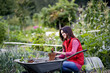 A young woman potting strawberry plants