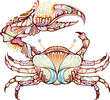 Crab