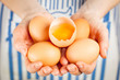 hands with eggs