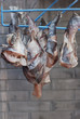drying fish