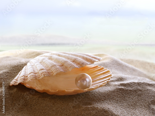 Photo: Shell with a pearl Shell with a pearl