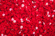 A bed of roses