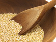 Quinoa