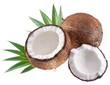 High-quality photos of coconuts on a white background.