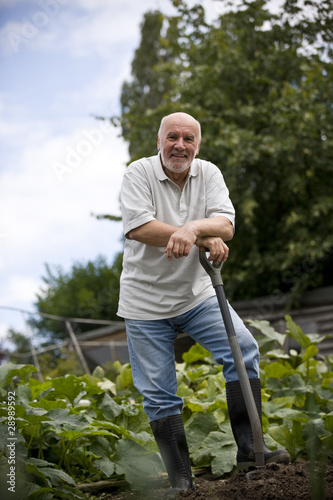 Photo: A senior man leaning on a fork on an allotment A senior man leaning on a fork on an allotment