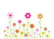 Colorful flowers
