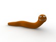 Worm concept