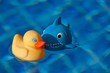 Foto: Blue Swimmingpool Blue Swimmingpool