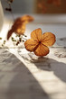 Herbstliche Dekoration