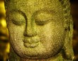 Foto: Buddha Buddha