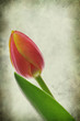 Vintage love message Vintage love message