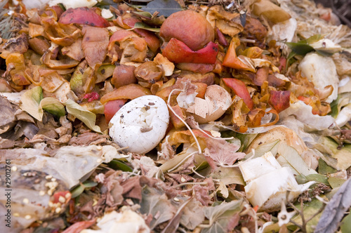 Foto: An eggshell in the kitchen Waste An eggshell in the kitchen Waste
