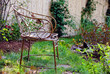 Residential landscaped garden