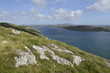 Paysage du Connemara
