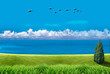 landscape