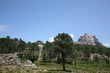 paysage