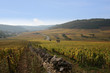 bourgogne