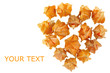 physalis in heart shape isolated on white background