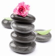 Spa stones with rose and leaves on a white background.