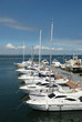 White yachts on an anchor