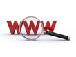 internet search