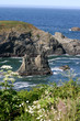 Photo: Wildflowers by a Rocky Sea Wildflowers by a Rocky Sea