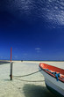 Fond bland des Caraïbes Fond bland des Caraïbes