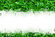 Green grass