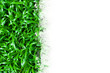 Green grass