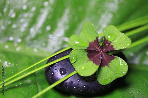 Photo: Im Einklang mit der Natur Im Einklang mit der Natur
