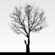 Dry Dead Tree