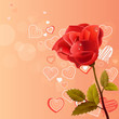 Pink background with rose and contour hearts Pink background with rose and contour hearts