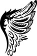 Wings.