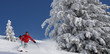 Foto: Skifahrer im Tiefschnee Panorama Skifahrer im Tiefschnee Panorama