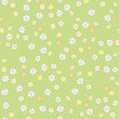 Floral seamless background