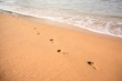 Footprints in the sand Goa Footprints in the sand Goa