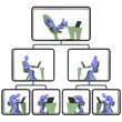 Organization structure
