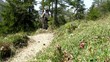 Video: Mountainbiker fährt Trail in den Alpen (Video HD 1280x720) Mountainbiker fährt Trail in den Alpen (Video HD 1280x720)